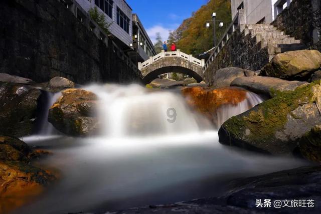I+like+spring+is+will对不对?游戏画面